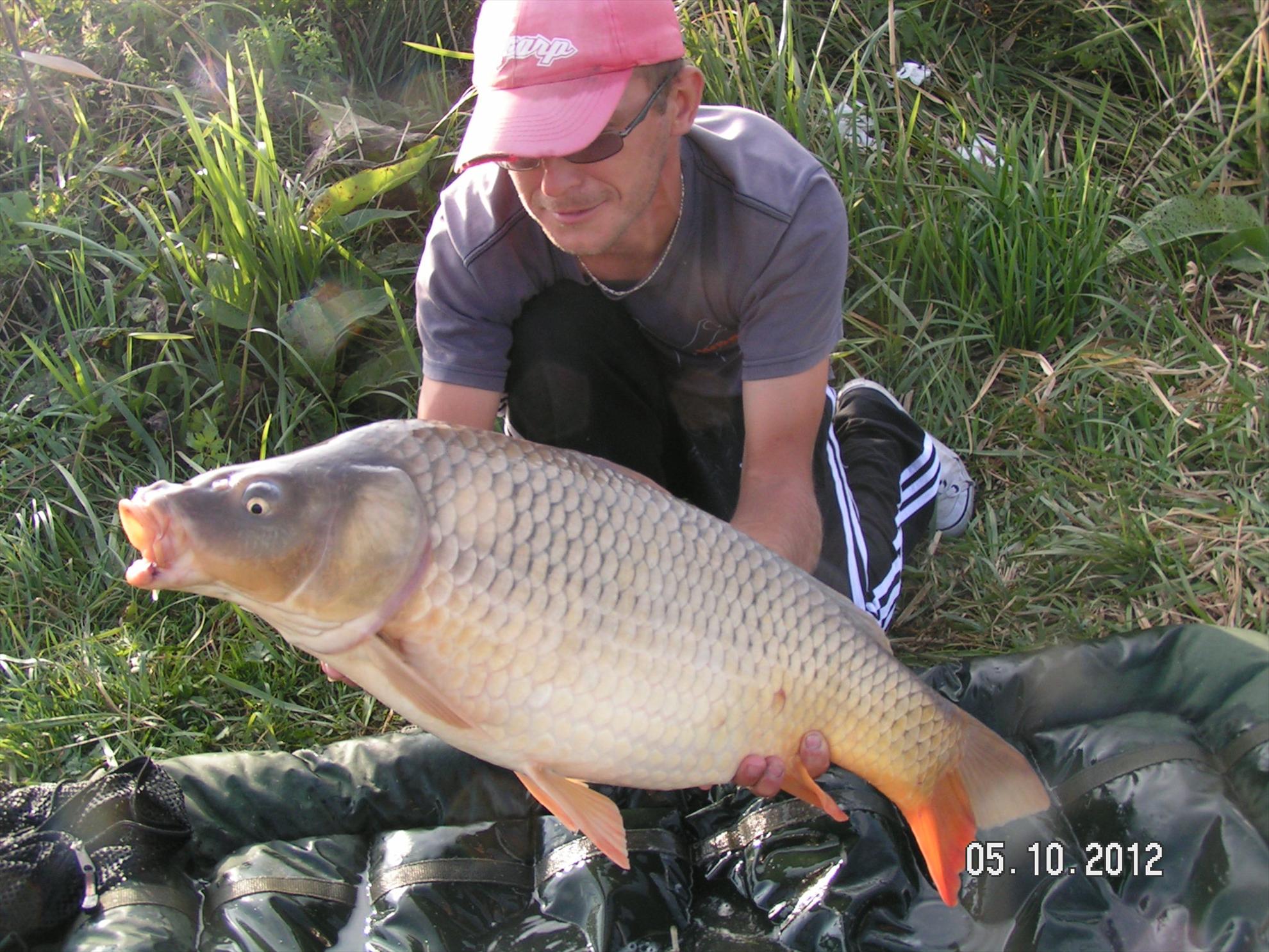 Lates 4-6.10.2012 - pict1139.JPG